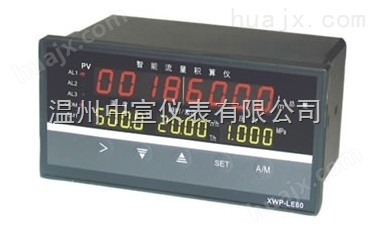 ZXDH9000流量积算仪