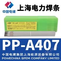 上海电力牌PP-A407不锈钢电焊条