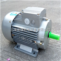 MS112M-6（2.2KW）-台州清华紫光电机-上海紫光电机直销 机械设备