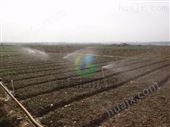山西果园喷灌灌溉技术工程