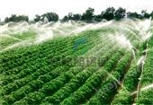 果园灌溉设备费用计算