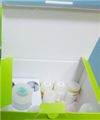麦胚凝集素/凝集蛋白检测试剂盒,WGA试剂盒