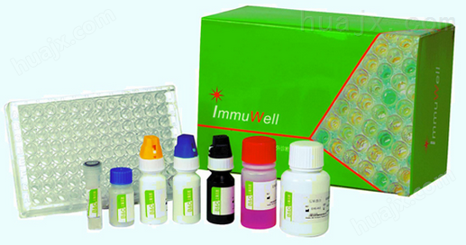 人甲胎蛋白ELISA试剂盒