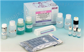 体外粘连蛋白检测试剂盒,CD51+CD61试剂盒