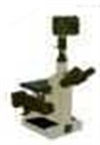 三目金相显微镜4XB-C
