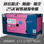 25KW*箱式柴油发电机LS-30KVA