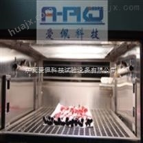 上海氙灯耐气候试验箱