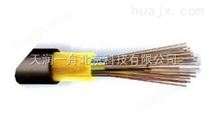 北京一舟光缆现货供应 层绞式非金属光缆GYFTY 光缆价格