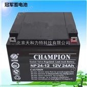 *蓄电池NP24-12 免维护铅酸蓄电池12V24AH
