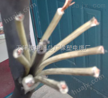 YC重型橡套软电缆YC 8芯-4x1.0+4x2.5电缆