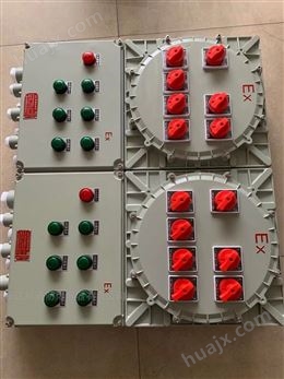 带总开BXM系列4回路6回路防爆照明配电箱