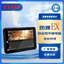 防爆平板電腦YP-T08I WIN/EX
