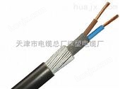 供应YJV32-3*2.5交联电力电缆YJV32钢丝铠装电缆